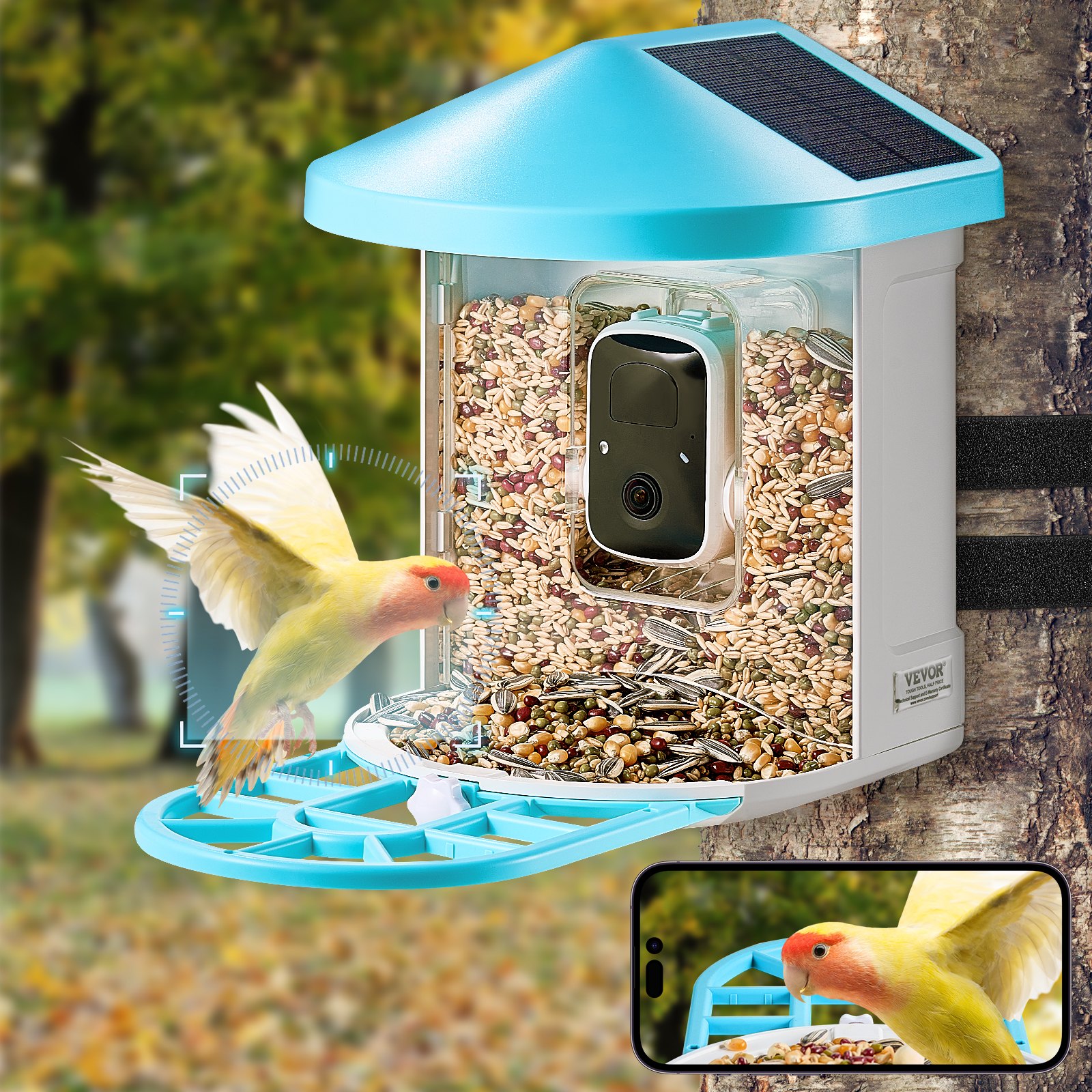 Smart Bird Feeder With Camera AI Identify 10000+ Bird Specie Solar-Powered - Image 2